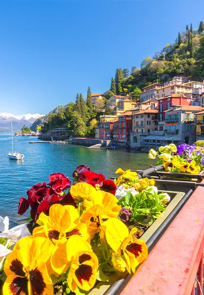Find Vacations for Any Occasion