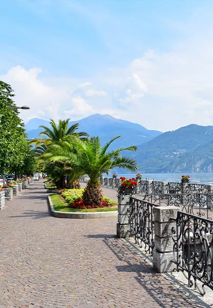 Relax at Our Terrace Garden
